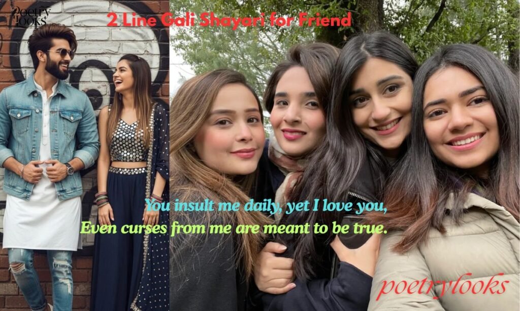 2 Line Gali Shayari for Friend