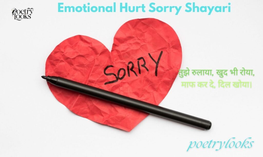 Emotional Hurt Sorry Shayari