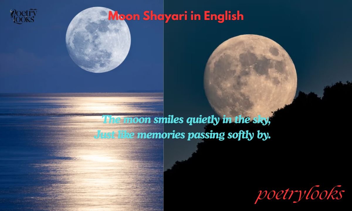 170+ Best Moon Shayari in English