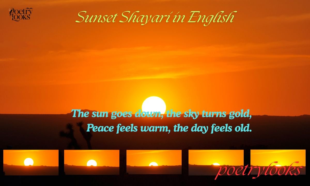 200+ Best Sunset Shayari in English