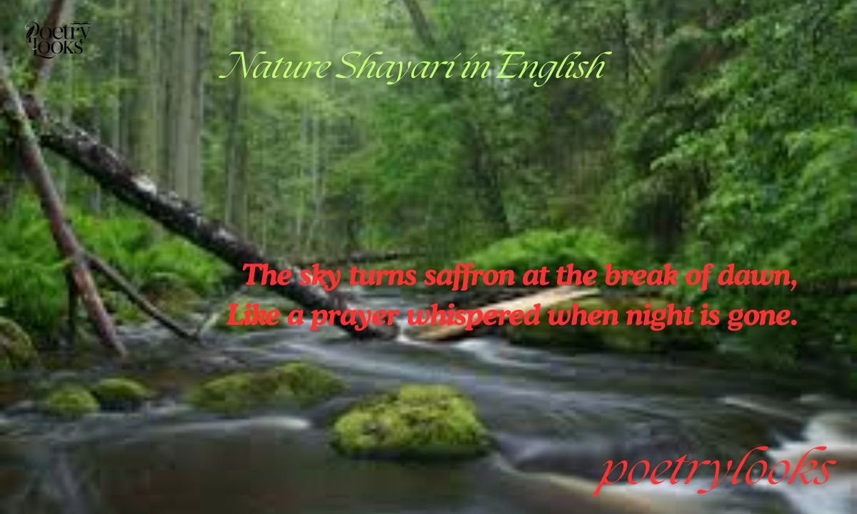 250+ Best Nature Shayari in English